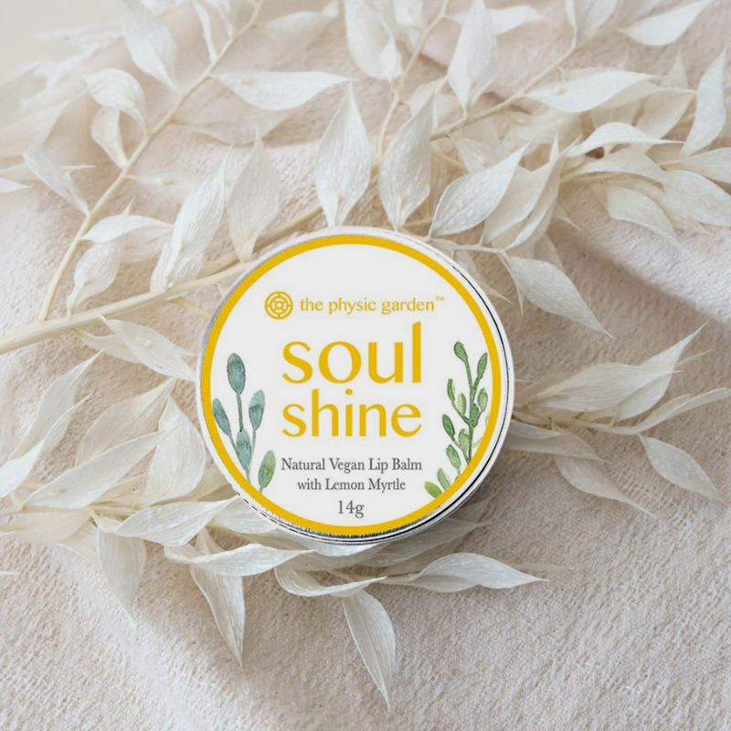 Soul Shine Lip Balm – Self Cared